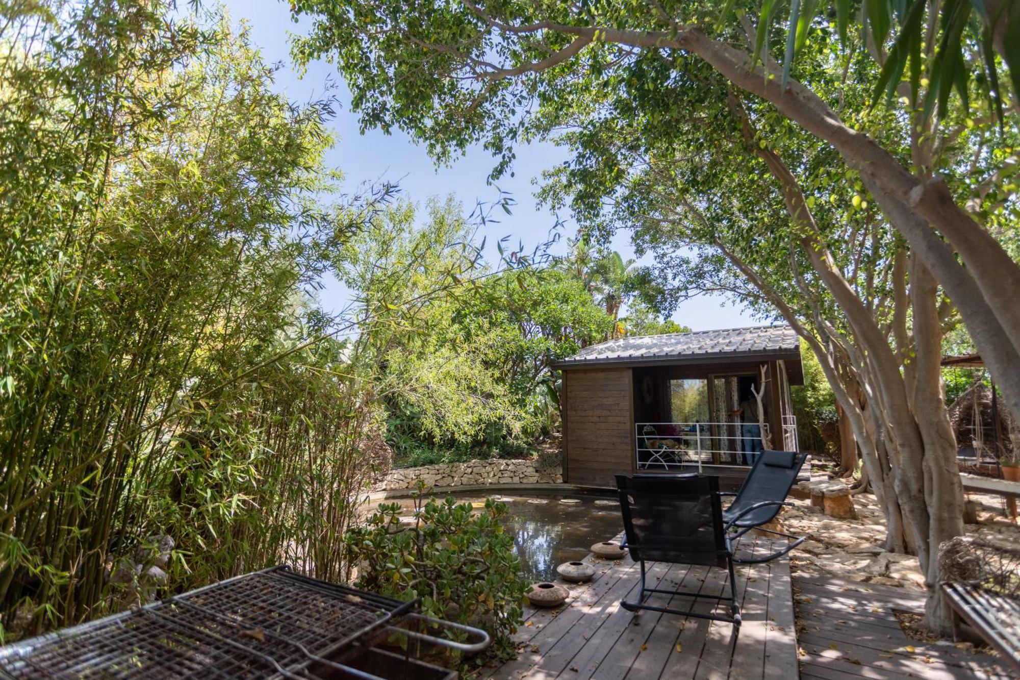 דונלוקאטה Cottage Sul Lago - Officina Didattica מראה חיצוני תמונה