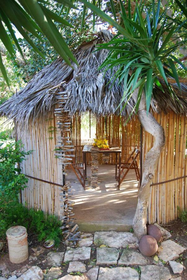 דונלוקאטה Cottage Sul Lago - Officina Didattica מראה חיצוני תמונה