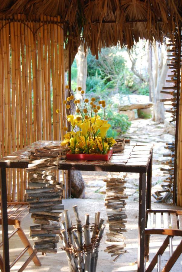 דונלוקאטה Cottage Sul Lago - Officina Didattica מראה חיצוני תמונה