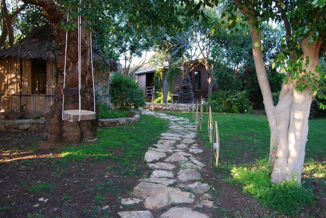 דונלוקאטה Cottage Sul Lago - Officina Didattica מראה חיצוני תמונה